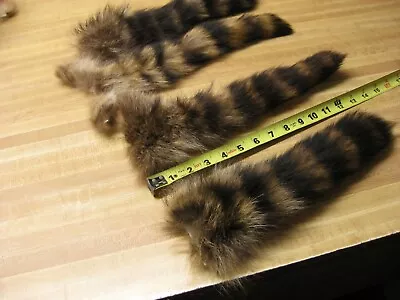 Large Tanned Jumbo Raccoon Tail Coon Fur Crafts 1 Tail Only • $11.95