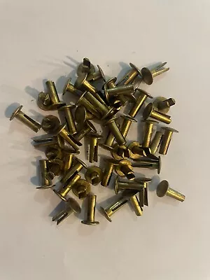 50 ~ 9/64  Diameter X 7/16  Long X 5/16  Head Diameter Pure Brass Split Rivets • $13.75