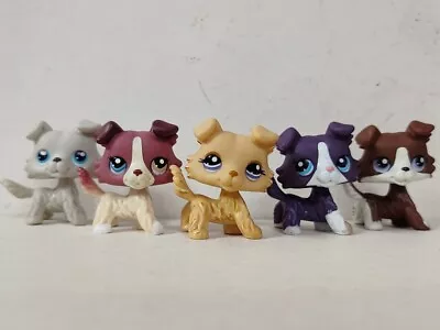 5pcs/lot LPS Toys Littlest Pet Shop Collie Dog #363#1262#1194#1676 Figures • £20.38