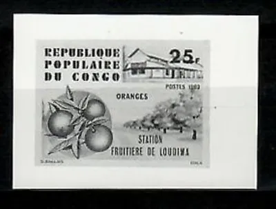 Photo Essay Congo Sc569 Loudima Fruit Packing Station Orange. • £2.84