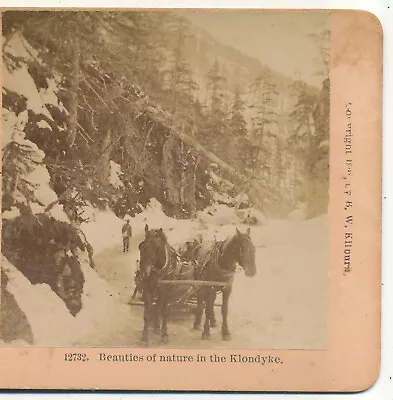 Horse Drawn Sleigh Beauties Of Nature In The Klondyke AK Kilburn Stereoview 1898 • $9.99