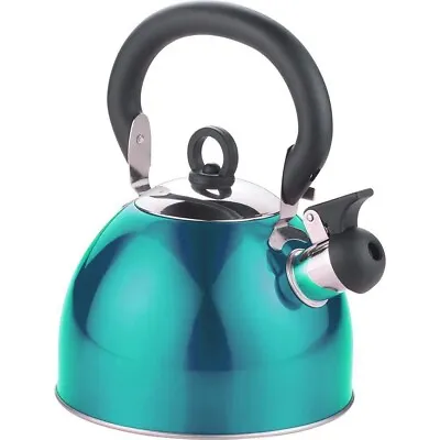Turquoise Stainless Steel Whistling Kettle 3L Stove Top Hob Kitchen Tea Camping • £9.45