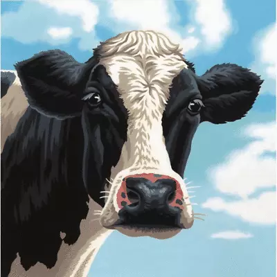 £16.99 • Buy Cow Canvas Wall Art Print Stretched Over Solid Pine Frame Various Sizes 