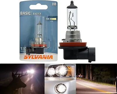 Sylvania Basic H8 35W One Bulb Fog Light Upgrade Replacement Plug Play Stock OE • $17