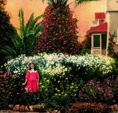 In Paul De Longpre's Garden Hollywood California CA 1910s Vtg Postcard UNP • $3.95