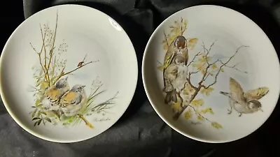 Vintage Kaiser Pottery Germany Set Of 2 Bird Plates-Buchfinken & Stieglitxe • $20