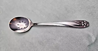 1847 Rogers Daffodil Silverplate Pierced  Relish Spoon • $10.99