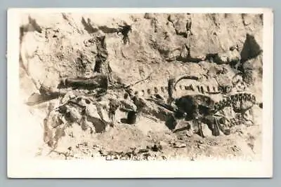 Dinosaur Fossil Quarry JENSEN Utah RPPC Uintah County Paleontology Photo ~1930s • $35.99