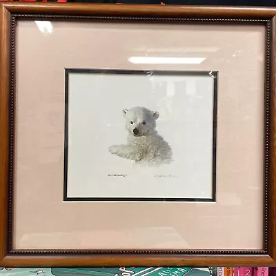 Carl Brenders Polar Bear Study Signed Litho Print In Archival Framing • $80