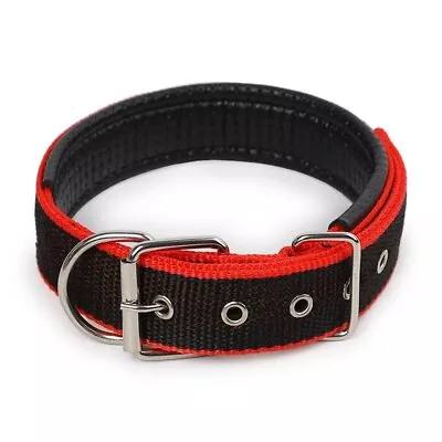 Dog Collar Padded Eyelet Nylon Metal Pet Puppy Cat Adjustable Collars S/M/L UK • £2.18