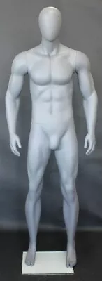 Matte Grey 6 Ft 2 In H Male Abstract Head Mannequin Muscular Body Torso SFM53EGR • $339.95