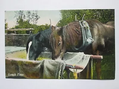  Lunchtime  Two Plough Horses Feeding Vintage Horse Postcard L20 • £3.99