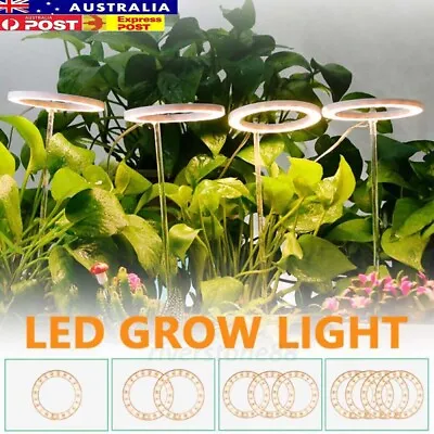 LED Plant Halo Light USB Ring Grow Light Lamp Angel Phytolamp For Indoor Plants • $14.81