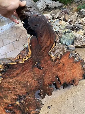 Live Edge Mesquite Burl Wood Slab 32”x30”x2-2.5”Beautiful Color And  Grain • $350