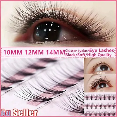 $5.69 • Buy 10mm-14mm Volume Cluster Eyelash Extensions Individual Russian False Eye Lashes