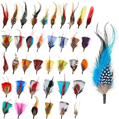 39 Pcs Hat Feathers Assorted Feathers For Fedora Hats Colorful Real. 8-10 Cm  • $15.05