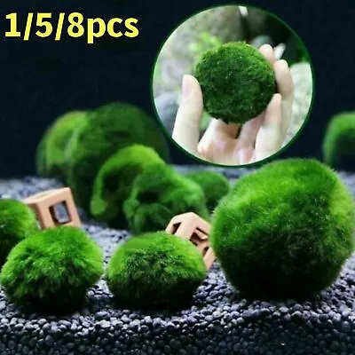 1-5-8Pcs Marimo Moss Ball Cladophora Live Aquarium Plant Fish Aquarium Decorate • $7.16