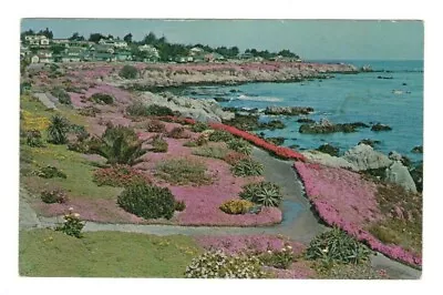 Ice Plant Monterey Peninsula California Vintage Postcard LS18  • $0.99