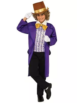 Willy Wonka And The Chocolate Factory Fairytale Story Book Week Boys Costume • $73.95