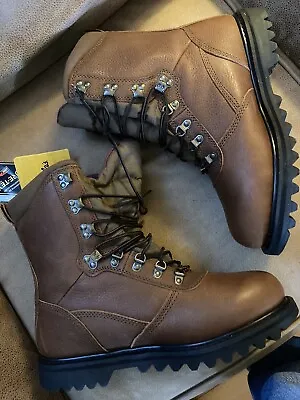 Brand New Cabela’s Men’s Gortex 10.5 Thinsulate Boots W Tags • $65