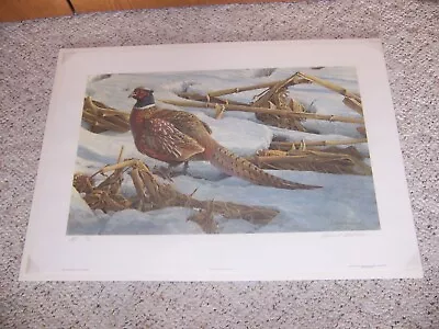 $149.99 • Buy Pheasant In Cornfield By Robert Bateman Limited Edition Print A/P 34/56 SEALED