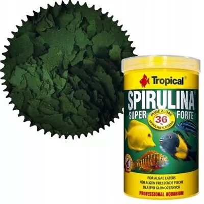 SUPER SPIRULINA FORTE Vegetable Flakes (36%)  TROPICAL FISH FOOD MARINE MALAWI • £6.99