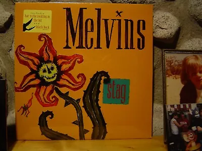 MELVINS Stag LP/1996 US/RARE-Out Of Print-OG 1st Atlantic-Mammoth Press./SEALED! • $249.98