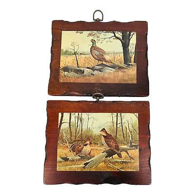 Vtg Pair Of Wall Art Wooden Shellacked Plaque Pheasant  And Grouse Cabin Chic • $29.97
