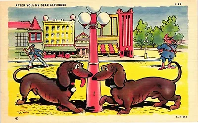 1940S Comic Art Dachshund Dog AFTER YOU MY DEAR ALPHONSE Humor Postcard • $4.50