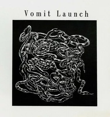 VOMIT LAUNCH Relapsation 7  Vinyl MINT 1989 TeenBeat 29 Barbara Manning • $68.99