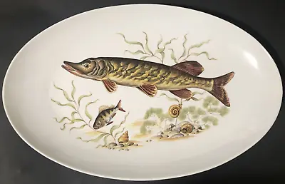NAAMAN ISRAEL PORCELAIN 14  OVAL FISH SERVING PLATE~JUDAICA (1960s) Perfect • $25.99