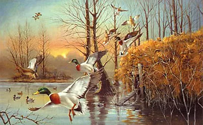 R.J.Mcdonld S/N Take Em Mallards Hunting Art Print • $95