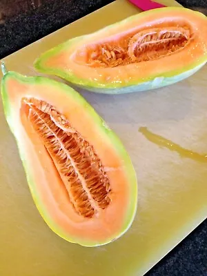 31+BANANA MELON Seeds Heirloom Fruit Vine Summer Vegetable Garden Container Easy • $3.25