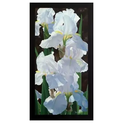 BRIAN DAVIS  Enchanting Irises  HAND SIGNED Limited Edition On Canvas US Artist • $680