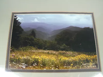 Scenic Matted Photo North Carolina Mountains By James Wallace 8X10 Original Wrap • $16