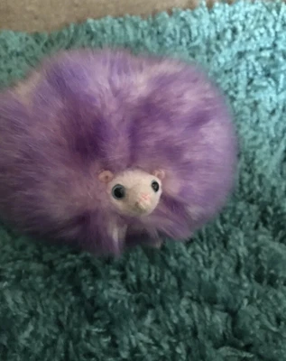 £10 • Buy Harry Potter Purple Pigmy Puff Studio Tour Soft Toy Plush Official 