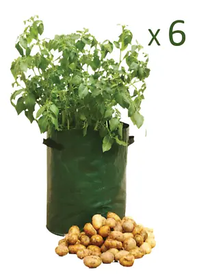 £12.99 • Buy 6 X Potato Tomato Bag Planter Grow Your Own Sack Tub Patio Potatoes Garden UK