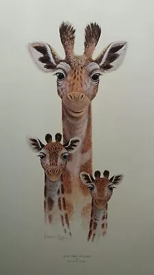 £24.99 • Buy Ups And Downs By Warwick Higgs Giraffe