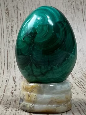 Natural Polished Green Malachite Egg Rock Mineral Stone Decor W/ Stand 2 Sizes • $24.97