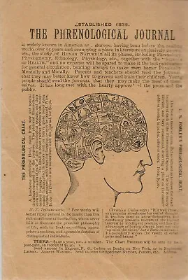 1900 PHRENOLOGY Pseudoscience MENTAL TRAITS QUACKERY Skull Bumps Illustrated • $45