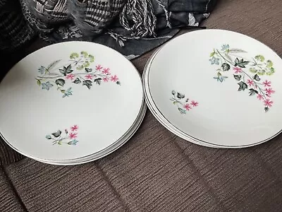 Set Of 6 BURLEIGHWARE PORCELAIN BREAKFAST PLATES 15.5cm Diameter VGUC Undamaged  • $18