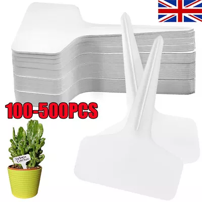 Plastic Plant Labels Garden Markers T-Type Gardening Name Tags Herbs Pots White • £23.59