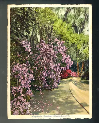 PC-2452*Vintage  Post Card 1932-Magonlia Gardens Charleston SC.-UNPOSTED • $3.95