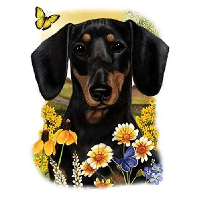 Black And Tan Dachshund  New  Dog  Hoodie   Sizes/Colors   • $29.40