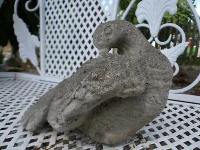 Old Weathered Worn Preening Mourning Dove Vintage Cement/concrete Garden Statue • $129.99