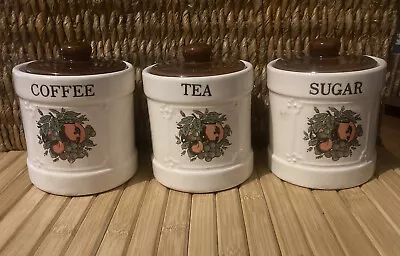 Vintage Canister Storage Set 3 Piece Tea Coffee Sugar Nature Print Jar Set • $34.99