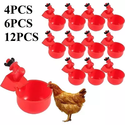 6x 12x Poultry Water Drinking Cups Chicken Hen Plastic Automatic Drinker Quail • $5.69