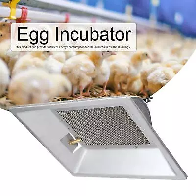 Farm Manual Infrared Catalytic Gas Brooder Chicken Incubator Heater Equipment • $147.39