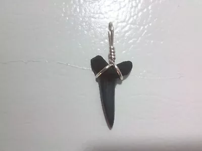 Beautiful Mako Shark Tooth Pendant With Sterling Silver Hand Wrap • $15.99