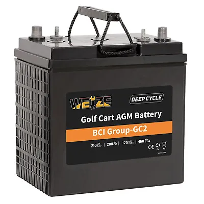 Weize Golf Cart Battery 6V 210ah BCI Group GC2 Deep Cycle AGM Scrubber Battery • $239.99